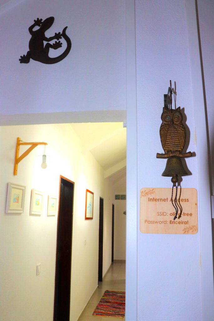 HOUSE OF THE OLIVE TREE